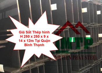 Giá Sắt Thép hình H 250 x 250 x 9 x 14 x 12m Tại Quận Bình Thạnh