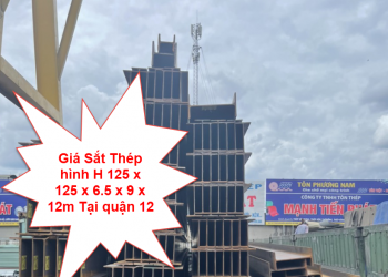 Giá Sắt Thép hình H 125 x 125 x 6.5 x 9 x 12m Tại quận 12