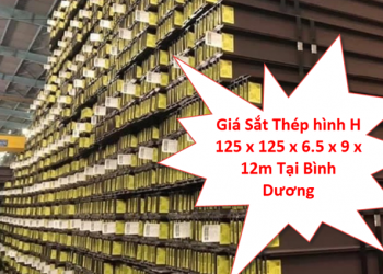 Giá Sắt Thép hình H 125 x 125 x 6.5 x 9 x 12m Tại Bình Dương