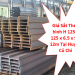 Giá Sắt Thép hình H 125 x 125 x 6.5 x 9 x 12m Tại Huyện Củ Chi