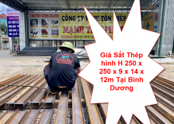 Giá Sắt Thép hình H 250 x 250 x 9 x 14 x 12m Tại Bình Dương