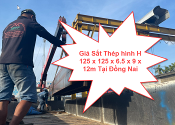 Giá Sắt Thép hình H 125 x 125 x 6.5 x 9 x 12m Tại Đồng Nai