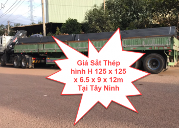 Giá Sắt Thép hình H 125 x 125 x 6.5 x 9 x 12m Tại Tây Ninh