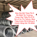 Báo Giá Sắt Thép Phi 8 Rẻ Nhất Thị Trường. Cung Cấp Thép Phi 8 Sỉ Và Lẻ Uy Tín Tphcm. Mua Thép Cuộn Phi 8 Đông Á Chính Hãng Giá Tốt Nhất