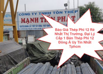 Báo Giá Thép Phi 12 Rẻ Nhất Thị Trường. Đại Lý Cấp 1 Bán Thép Phi 12 Đông Á Uy Tín Nhất Tphcm
