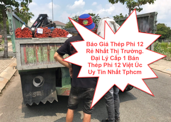 Báo Giá Thép Phi 12 Rẻ Nhất Thị Trường. Đại Lý Cấp 1 Bán Thép Phi 12 Việt Úc Uy Tín Nhất Tphcm