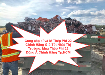Cung cấp sỉ và lẻ Thép Phi 22 Chính Hãng Giá Tốt Nhất Thị Trường. Mua Thép Phi 22 Đông Á Chính Hãng Tp.HCM