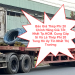 Báo Giá Thép Phi 20 Chính Hãng Giá Tốt Nhất Tp.HCM. Cung Cấp Sỉ Và Lẻ Thép Phi 20 Tung Hô Uy Tín Nhất Thị Trường