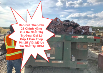 Báo Giá Thép Phi 25 Chính Hãng Giá Rẻ Nhất Thị Trường. Đại Lý Cấp 1 Bán Thép Phi 25 Việt Mỹ Uy Tín Nhất Tp.HCM