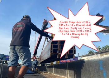 Giá Sắt Thép hình H 250 x 250 x 9 x 14 x 12m tốt nhất Bạc Liêu. Đại lý cấp 1 cung cấp thép hình H 250 x 250 x 9 x 14 x 12m uy tín thị trường