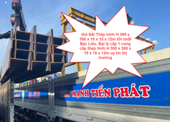 Giá Sắt Thép hình H 300 x 300 x 10 x 15 x 12m tốt nhất Bạc Liêu. Đại lý cấp 1 cung cấp thép hình H 300 x 300 x 10 x 15 x 12m uy tín thị trường