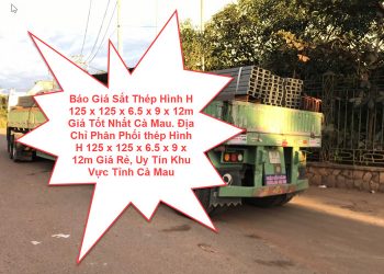 Báo Giá Sắt Thép Hình H 125 x 125 x 6.5 x 9 x 12m Giá Tốt Nhất Cà Mau. Địa Chỉ Phân Phối thép Hình H 125 x 125 x 6.5 x 9 x 12m Giá Rẻ, Uy Tín Khu Vực Tỉnh Cà Mau