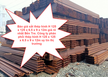 Báo giá sắt thép hình H 125 x 125 x 6.5 x 9 x 12m giá rẻ nhất Bến Tre. Công ty phân phối thép hình H 125 x 125 x 6.5 x 9 x 12m uy tín thị trường