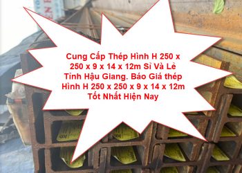Cung Cấp Thép Hình H 250 x 250 x 9 x 14 x 12m Sỉ Và Lẻ Tỉnh Hậu Giang. Báo Giá thép Hình H 250 x 250 x 9 x 14 x 12m Tốt Nhất Hiện Nay