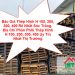 Báo Giá Thép Hình H 100, 200, 300, 400 Rẻ Nhất Sóc Trăng. Địa Chỉ Phân Phối Thép Hình H 100, 200, 300, 400 Uy Tín Nhất Thị Trường