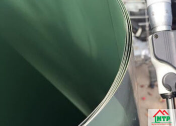 Giá tôn hoa sen Bình Thuận vừa cập nhật