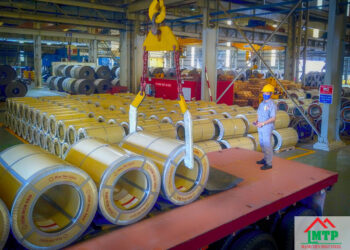 Giá tôn hoa sen Cà Mau mua lẻ giá sỉ