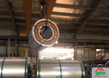 Giá tôn hoa sen Hậu Giang cập nhật mới nhất