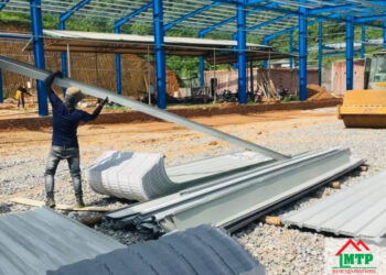 Giá tôn hoa sen Huyện Cần Giờ các loại