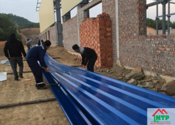 Giá tôn hoa sen Kon Tum cập nhật mới nhất