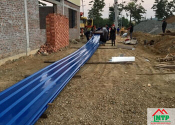 Giá tôn hoa sen Phú Yên cập nhật mới nhất