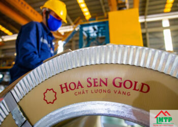 Giá tôn hoa sen quận 8 vừa cập nhật