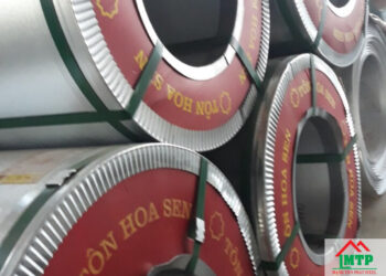 Giá tôn hoa sen Sóc Trăng chi tiết hôm nay