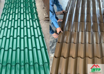 Giá tôn hoa sen Trà Vinh mới nhất, cập nhật hôm nay