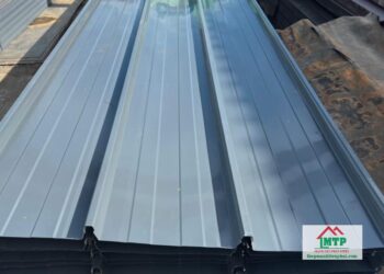 Tôn Hoa Sen màu xám lông chuột