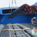 Giá sắt thép cây tại Bạc Liêu rẻ nhất, ưu đãi