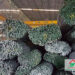 Giá sắt thép cây tại Kiên Giang rẻ nhất, ưu đãi