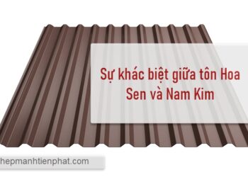 So sánh sự khác biệt giữa tôn Hoa Sen và Nam Kim