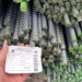Thép Hoà Phát CB400 chính hãng, giá gốc đại lý