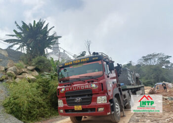 Đại lý thép Nam Kim uy tín tại Quận Tân Bình