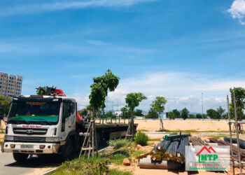 Đại lý thép Pomina tại Bình Định uy tín