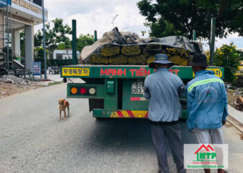 Đại lý thép Pomina tại Quận 11 uy tín