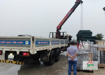 Đơn vị bán ván phủ phim giá rẻ, đa dạng quy cách - Thép MTP