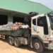 Mua lưới B40 khổ 1m2 chất lượng