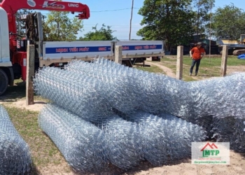 Giá lưới B40 khổ 2m (8)