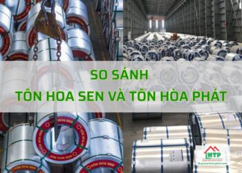 So sánh tôn Hoa Sen và tôn Hòa Phát