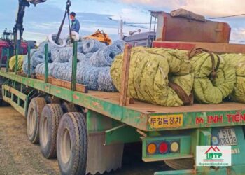 Dây kẽm gai tại Quận 12 giao nhanh, đa dạng các loại từ kẽm gai nhọn đến kẽm lam