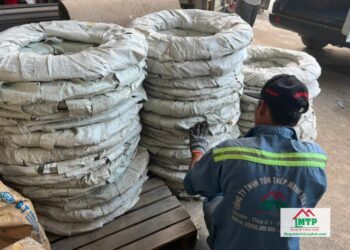 Giá dây kẽm gai tại Quận Tân Bình tốt nhất, báo giá chuẩn theo loại và số lượng