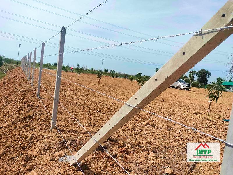 Dây kẽm gai luôn được sử dụng số lượng lớn cho đất vườn, kho bãi tại Hóc Môn