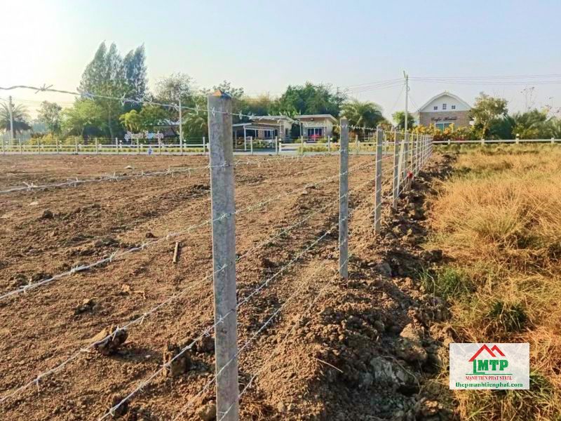 Dây kẽm gai dùng rào đất vườn, trang trại tại Long An